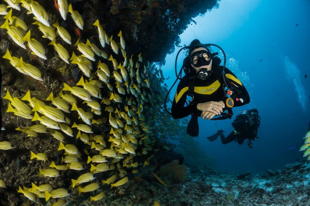 Snorkeling con traslados