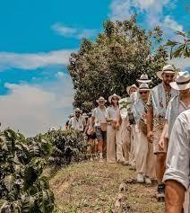 Tour de Café Divisa de Don Juan