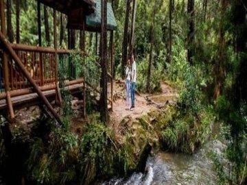 Visita Parque Arví