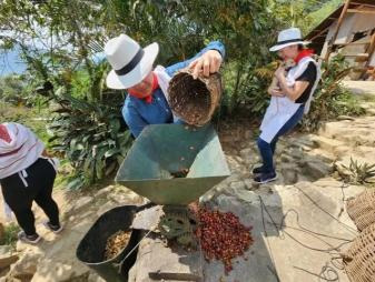 Tour de café Itagüí