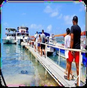 Tour Diurno por la Bahía