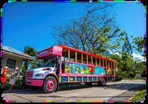 City Tour Sencilla