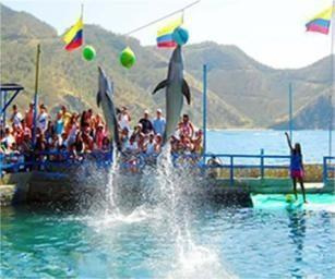 Acuario y Playa Blanca