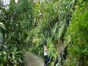 Reserva Natural San Cipriano
