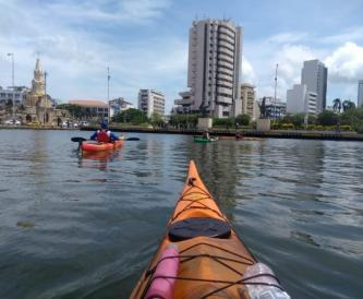 Tour de Manglares (La Boquilla)