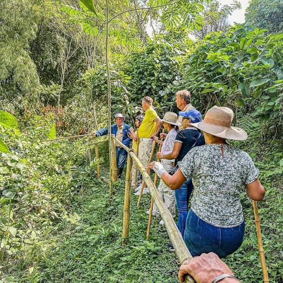 La Esencia del Cacao en Pereira 2