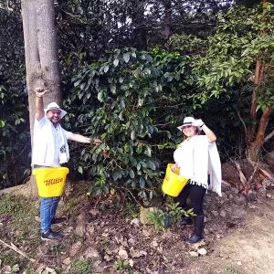 Tour de café Itagüí 3