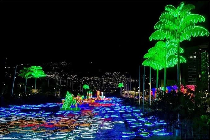 Tour de luces (compartido) 3