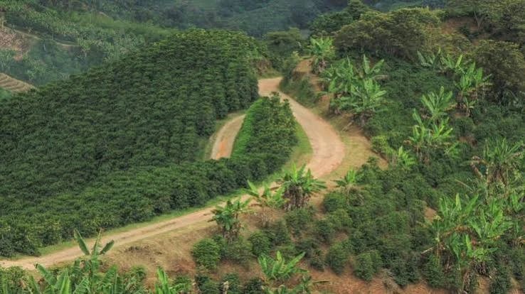 Manizales, Mirador de Tierras Cafeteras 2