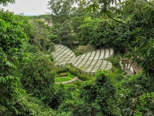 Jardín Botánico y Mariposario 4