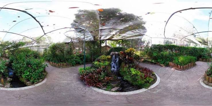 Jardín Botánico y Mariposario 2