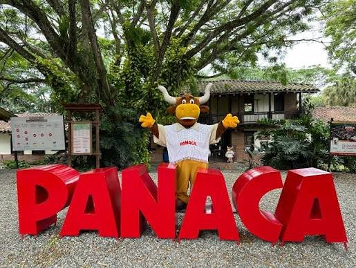 Visita Panaca