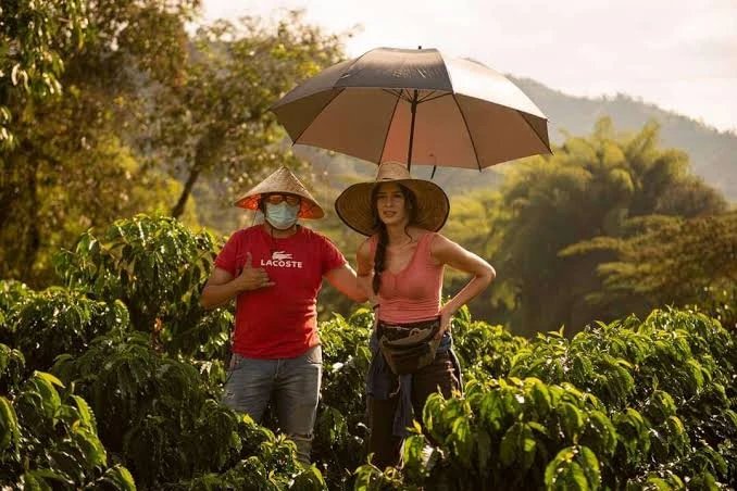 Tour de Café Hacienda Venecia