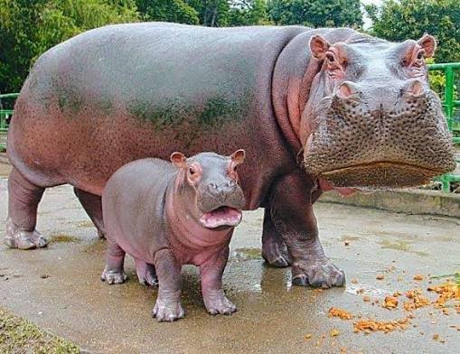 Visita Parque Explora y Zoológico Santa Fe