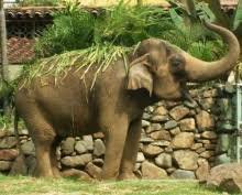 Visita Parque Explora y Zoológico Santa Fe 4
